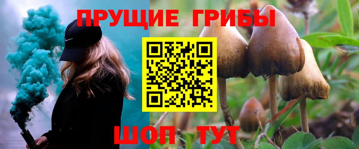 Галлюциногенные грибы Magic Shrooms  Вход с VPN  сколько стоит  Изобильный 