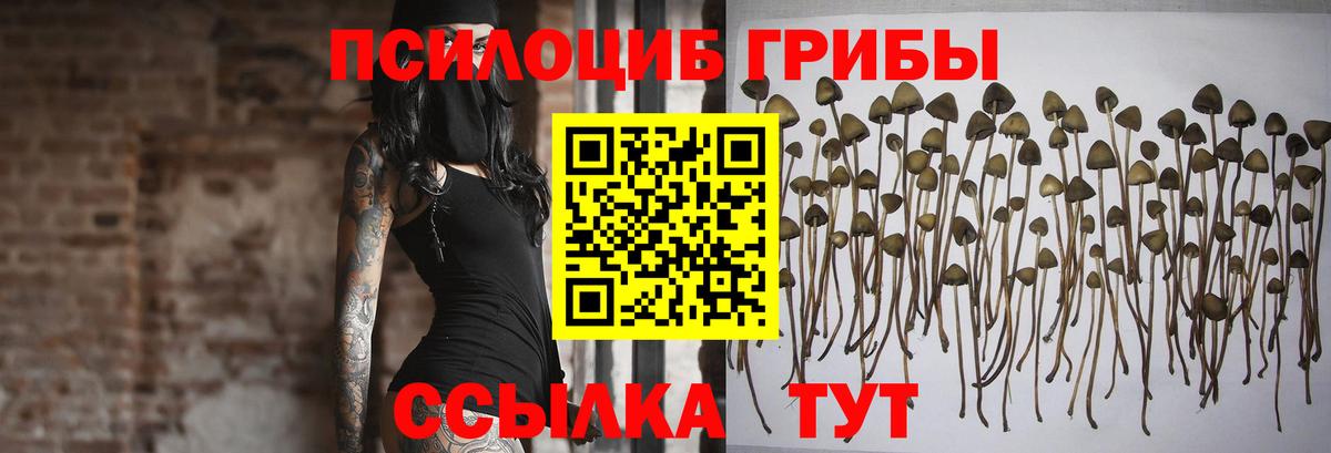 Псилоцибиновые грибы прущие грибы Изобильный