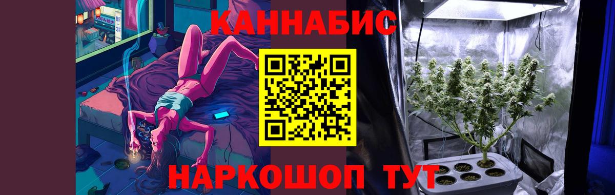 Бошки марихуана семена  Бошки Шишки сатива  МАРИХУАНА план  Изобильный  Вход с VPN 